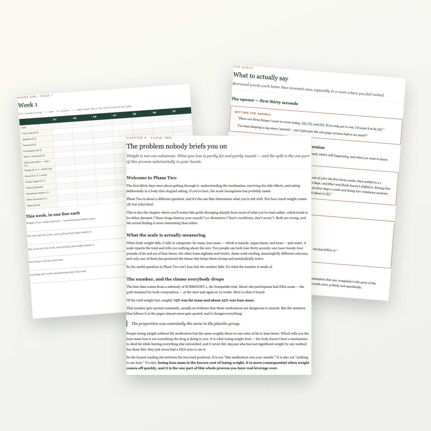 Inside: a chapter, the weekly log grid, and the prescriber playbook