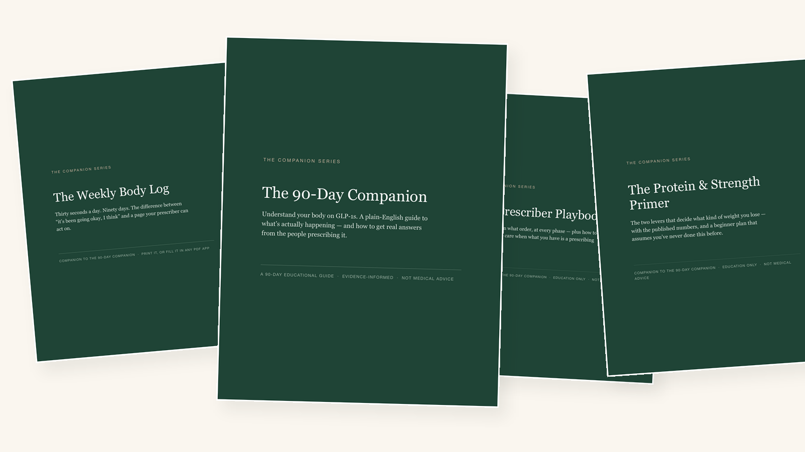 The 90-Day Companion — four-PDF bundle